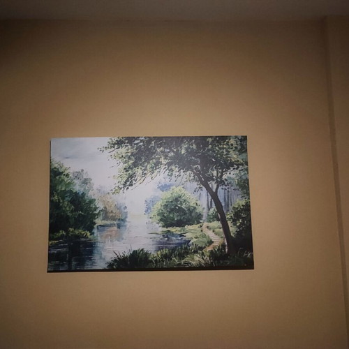 Painting used, natural landscape in excellent condition