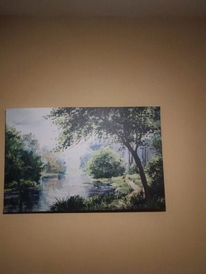 Painting used, natural landscape in excellent condition