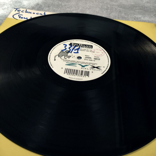Tom Wilson Techno Cat 12'' Vinyl Maxi Single used, electronic