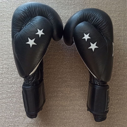Force1 F-1020 Boxing Gloves like new, 14oz, leather