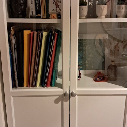 IKEA BILLY bookshelf doors, set of 2
