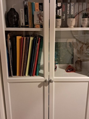 IKEA BILLY bookshelf doors, set of 2