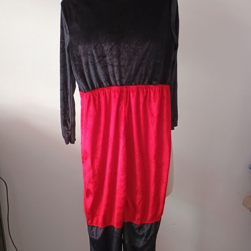Mickey Mouse Disney costume used