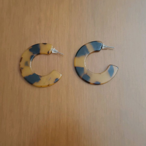 Steel Turtle Earrings New