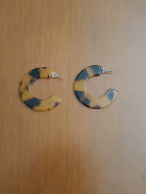 Steel Turtle Earrings New