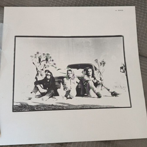 The Cult Sonic Temple vinyl like new, metal