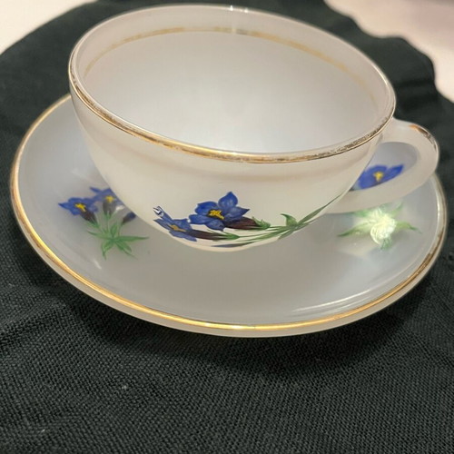 Arcopal France vintage set of 2 cups used with blue Gentian design