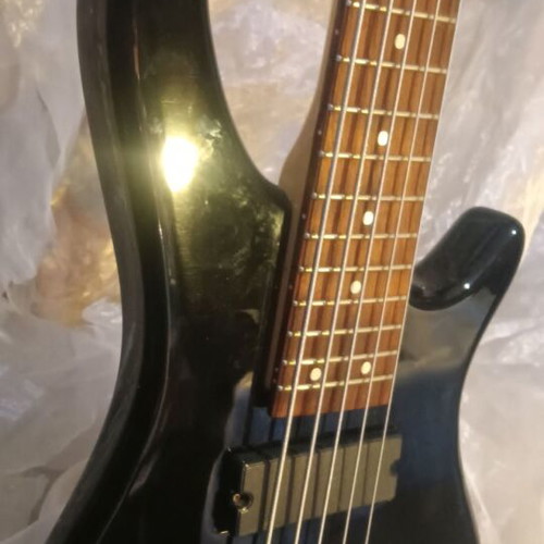 Sound Station SPCL Edition 5-string electric bass guitar