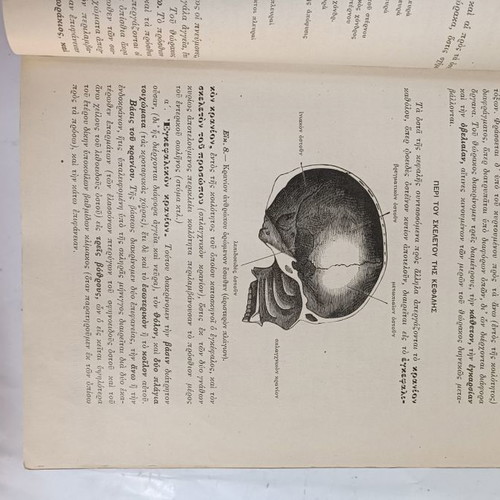 Anatomy of Man used, 1914, by N.P. Michalakeas