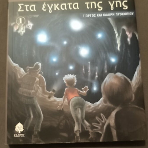 Teen mystery book like new