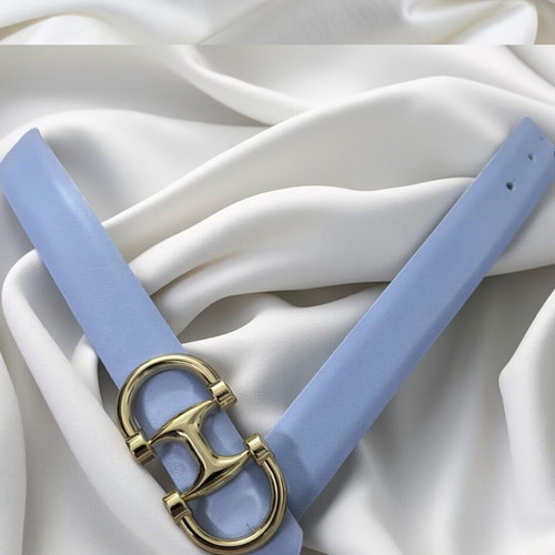Belt with Gold Buckle like new, length 102 cm