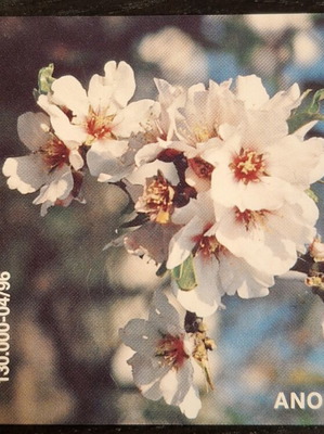 Spring Phone Card 2117 used, 1996 edition