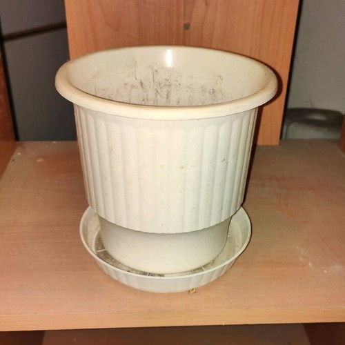 Plastic round white flowerpots used, pack of 51 with saucers