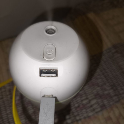 Humidifier with built-in light