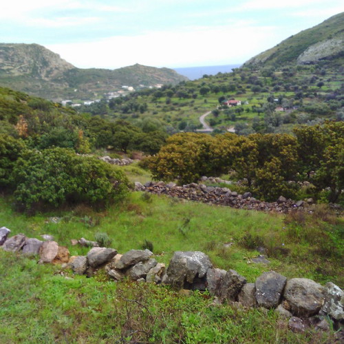 Land 18 acres with olive and mastic trees in Chios, buildable