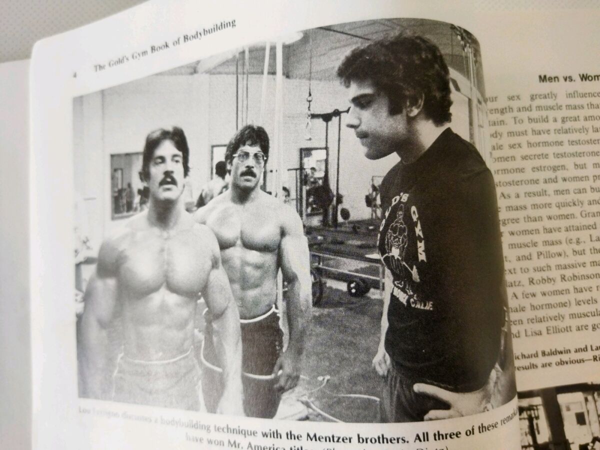 The Gold's Gym Book of Bodybuilding book… - € 80,00 - Vendora.cy