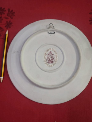 Plate image used