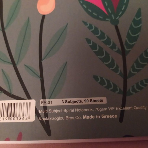 Globus Spiral Notebook floral 3 subjects B5 180 sheets new
