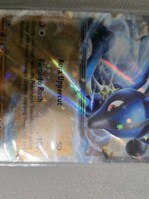 Lucario Ex Pokemon card new