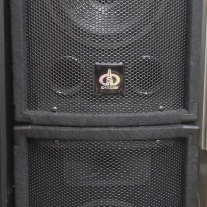 Dibeisi DBS-4308 speakers like new, 8" 150 Watt / 300 Watt max
