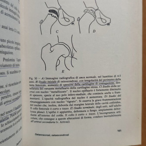 Lezioni di Clinica Ortopedica medical book by Mario Campanacci