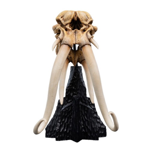 Lord of the Rings Weta Mumak Skull 15cm