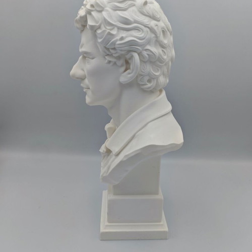Ayrton Senna bust 3D print new
