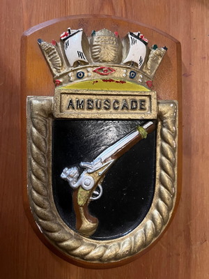 Shield used in good condition