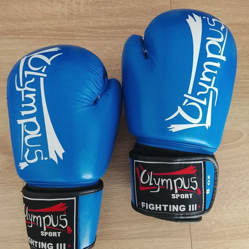 Boxing gloves and elastic wrist wraps like new