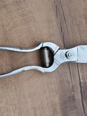 Meat scissors used with rust on the spring
