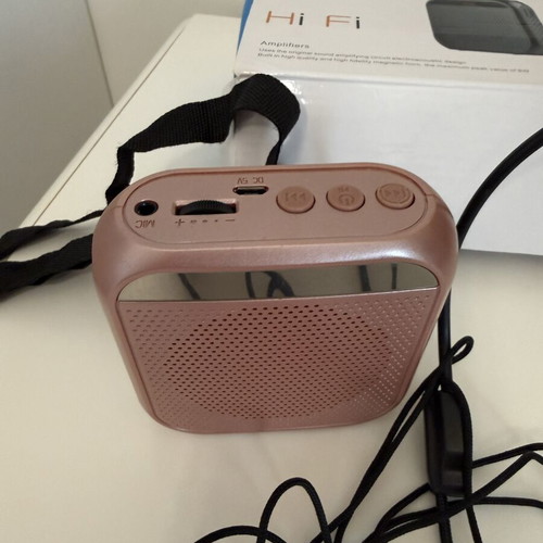 Φορητός ενισχυτής φωνής Hi-Fi 8W με headset μικρόφωνο, ροζ
