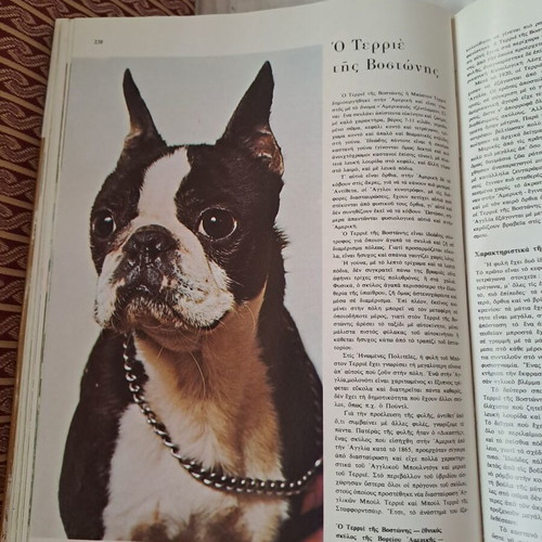 Book/Encyclopedia "The Wonderful World of Animals" like new, Greek