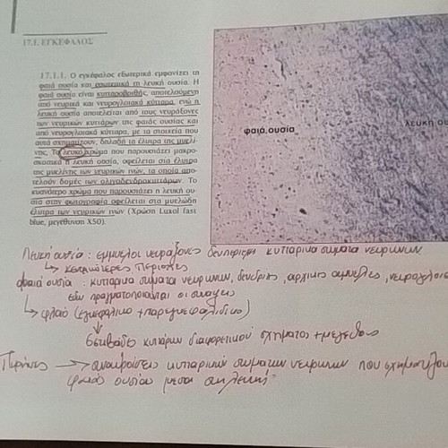 "Atlas of Histology" by the medical publications PASCHALIDIS