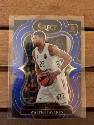 Panini Euroleague Select Walter Tavares Mezzanine Level Silver Prizm card Real Madrid