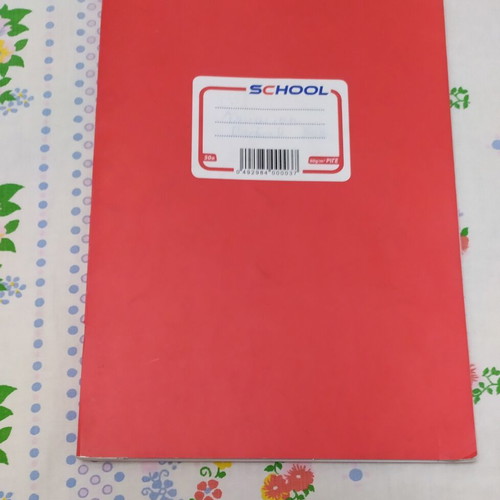 Notebooks pack of 10, assorted sheets