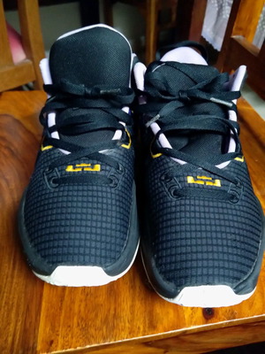 Ανδρικά παπούτσια μπάσκετ Nike LeBron James σε άριστη κατάσταση μέγεθος 43