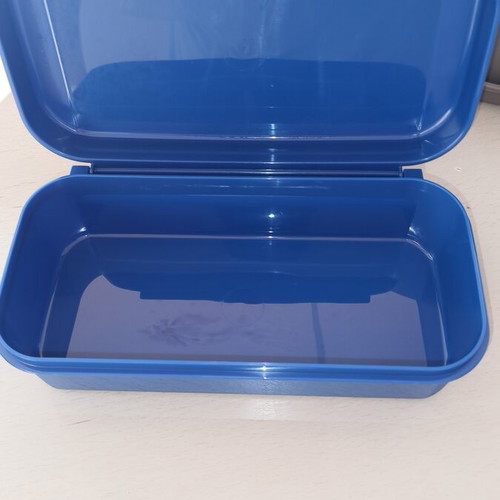 Tupperware sandwich container, new
