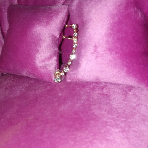 Earring for left ear new, designed to climb along the lobe