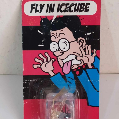 Fly in icecube prank new