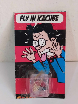 Fly in icecube prank new