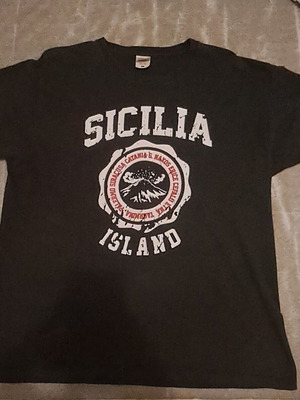 Fruit of the Loom T-Shirt black, size L, like new