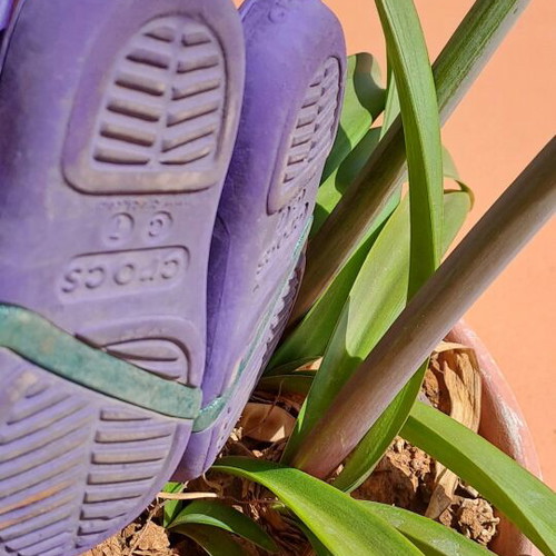 Crocs Disney νούμερο 23/24 σαν καινούργιο