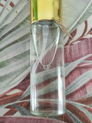 Eau de Toilette Vanilla & Roses 100ml new inspired by Armani