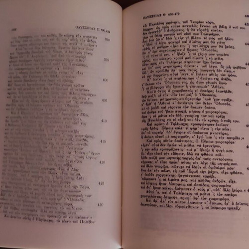 Homer's Odyssey Volume 1 like new, emmetrical translation by Iakovos Polylas