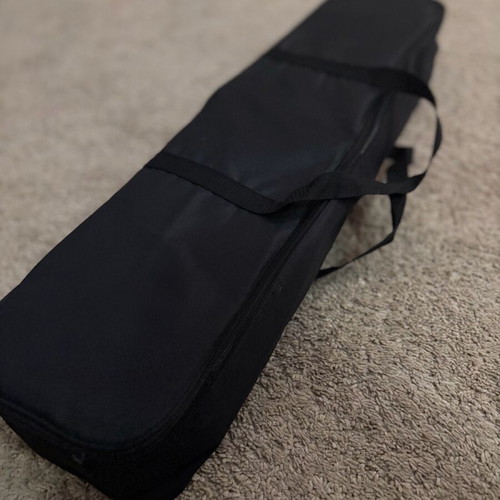 Pontian lyra case double new with foam and fur lining