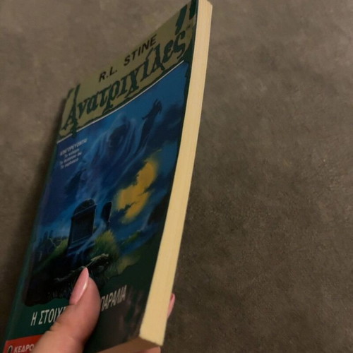 Goosebumps The Haunted Beach book like new