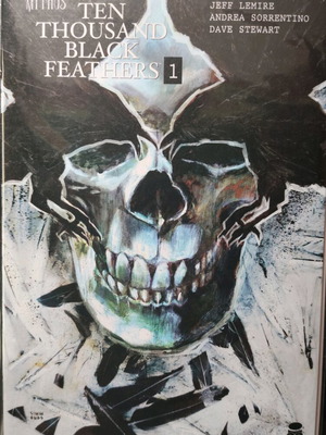 Ten Thousand Black Feathers #1 comic like new
