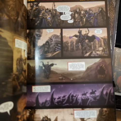 Warhammer Online Age of Reckoning Collector's Edition PC used