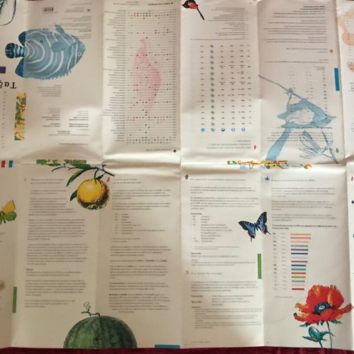 Foldable Map and Booklets of the European Union like new