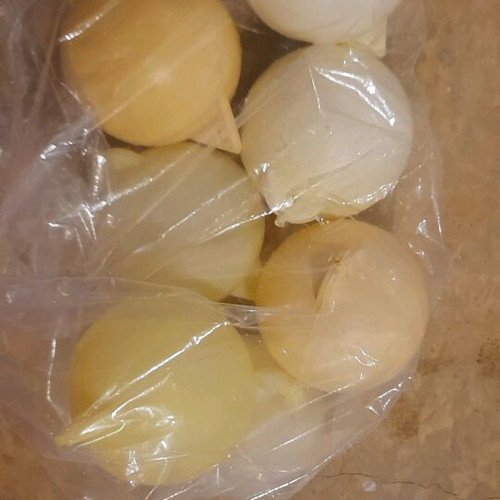 Round fishing buoys like new